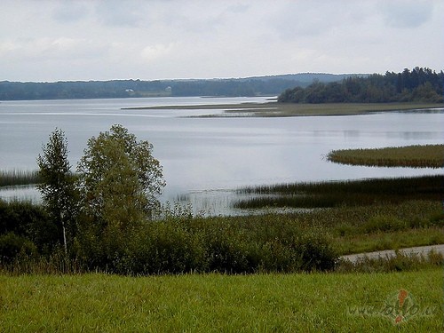 &nbsp;&nbsp;&nbsp;&nbsp;&nbsp; Pieci gadi ganos g�ju, peln�j` piecus ...