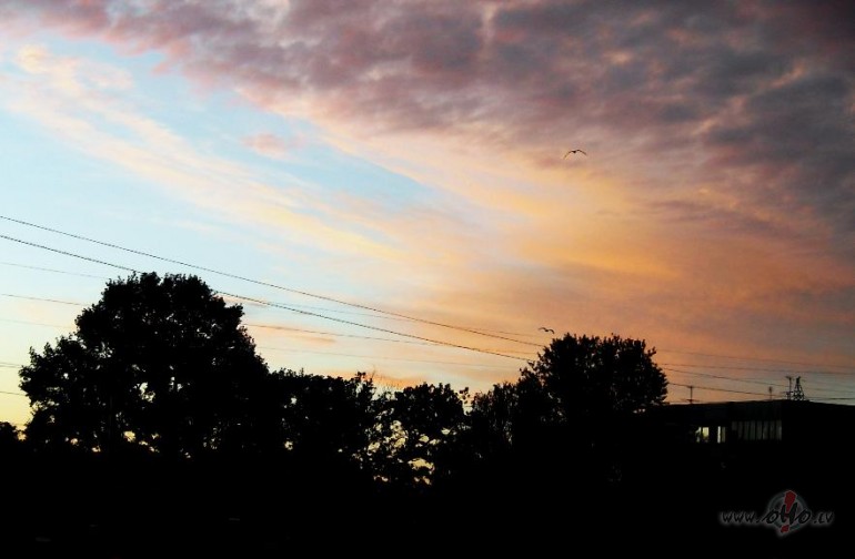 Saulriets L�go vakar�