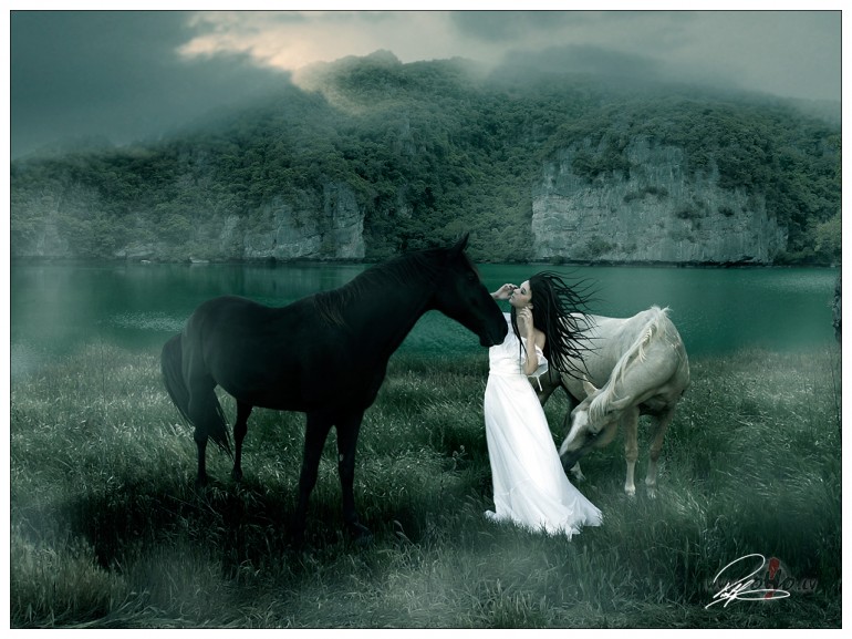 AR_LABU  ...  **  S_U_S_A_N__B_O_Y_L_E  **