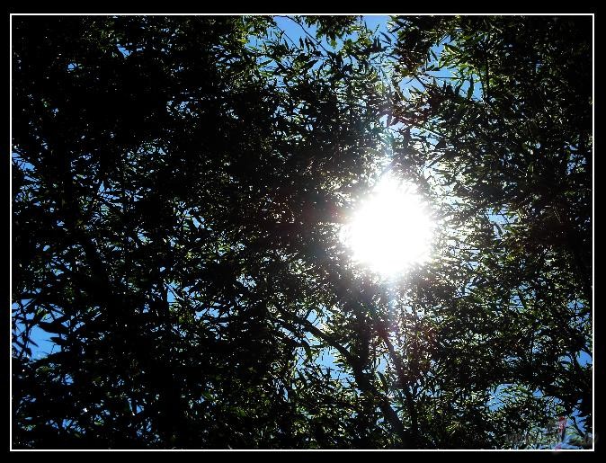 Saules apdauz�t�:)