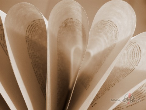 Esi k� gr�mata, kuru citiem j�stud�, nevis k� plak�ts, kas par sevi ...