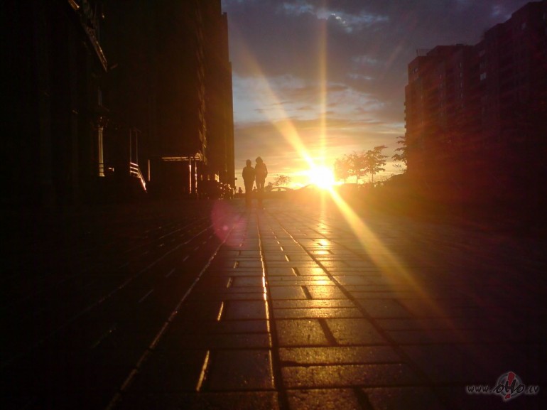 Sirds k vcelte maza,ovakar uz pasaulessavkusi visu sauliness to ...