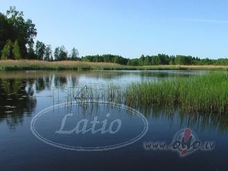 &nbsp;&nbsp;&nbsp;&nbsp; Visu laiku salam,drebin�jamies, dom�j�m, ...