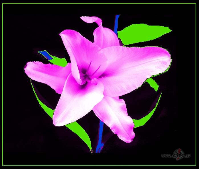 St�sts par vecaj�m biks�m