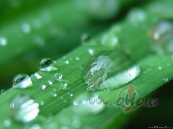 Labr�t, ceturdien�:))