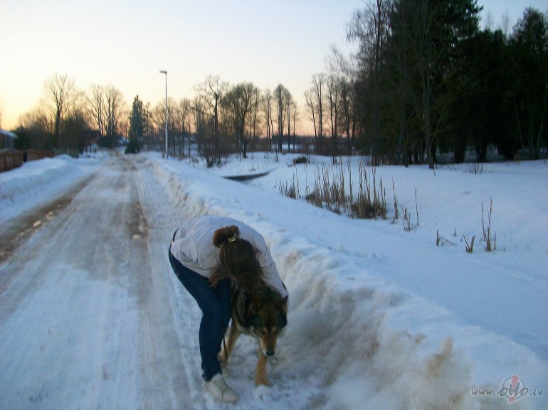 cilvkam vajag suni!!