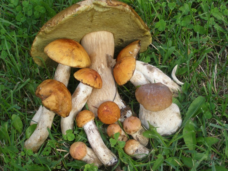Nu sta vasara!  Lauk +34 grdi, bet mjs tikai +27!  ...