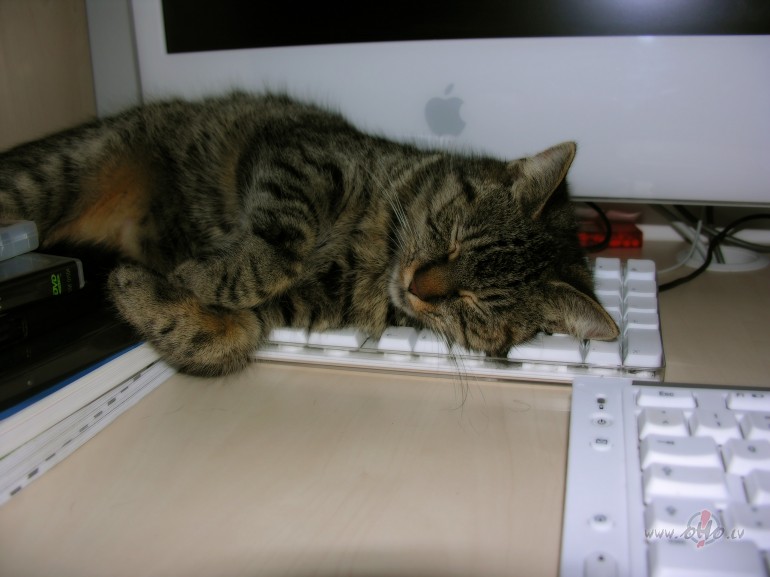 AR_LABU_1_...  **  D__A__R__I__N____Z__A__N__Y__A__R  **