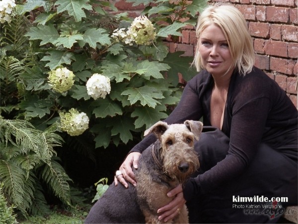 ABSOL�TS_JAUNUMS_...  **  K__I__M____W__I__L__D__E  **