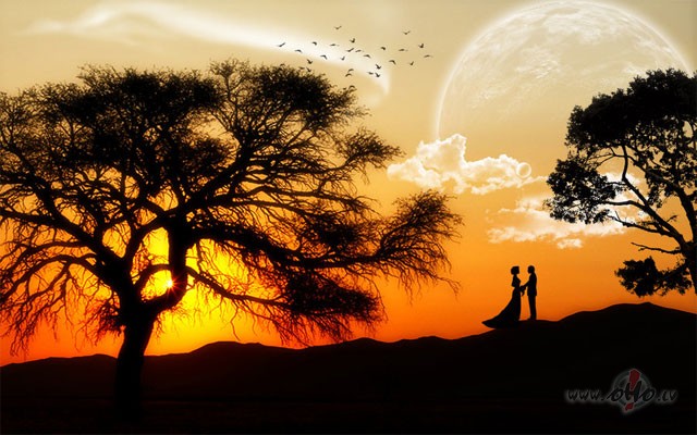 AR_LABU_..  **  B__I__-__2__Feat__K__V_A_R_T_E_T  **