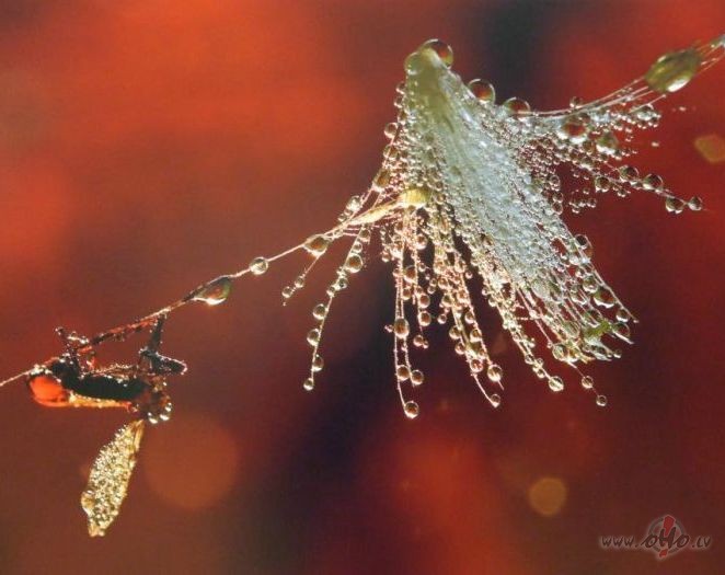 Sestdienas labr�t:))