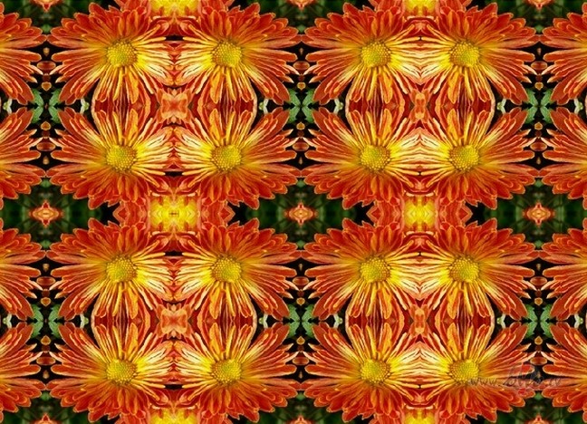 V�stule tiem, kuri m�l...