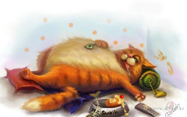 P�c_pusdien�m__...  **  R_O_B_E_R_T__M__Feat.__N_I_C_C_O  **