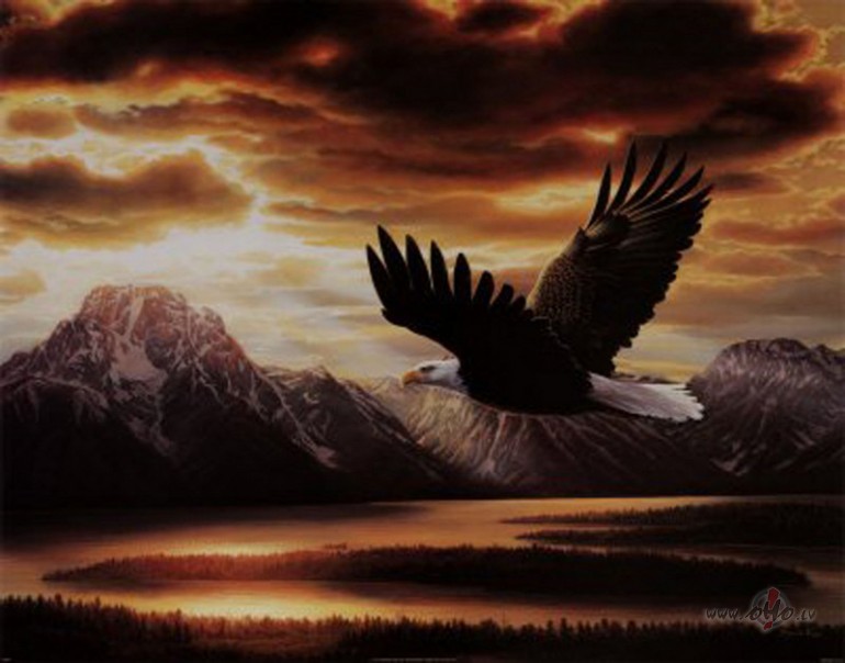 Drum`N`Bass_sada�a_...  **  D_I_G_I_T_A_L__P_I_E_C_E  **