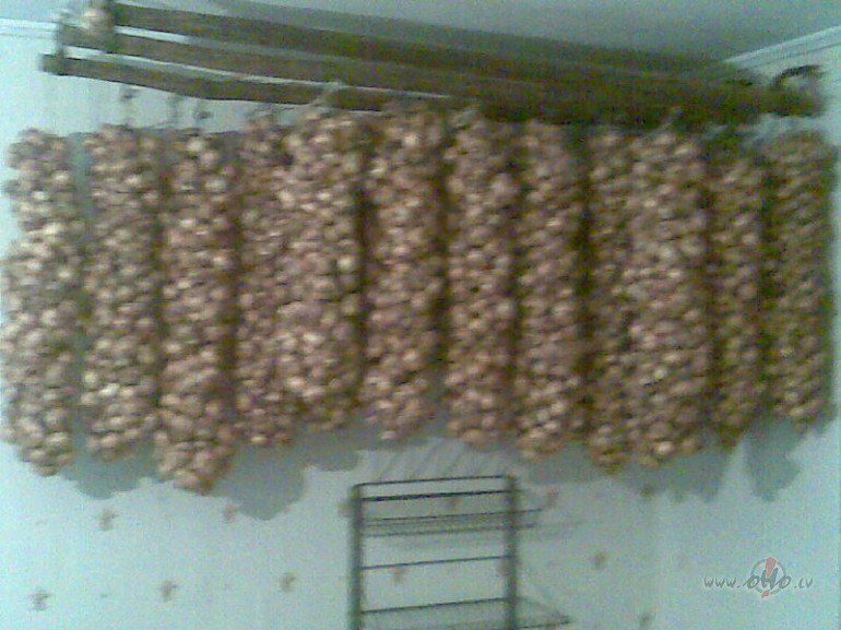 Nezinu k� citiem,bet �ai ziemai vitam�nu pietiks:)))