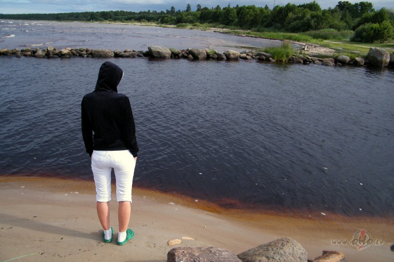 K� m�lu es ,k� gribu es...