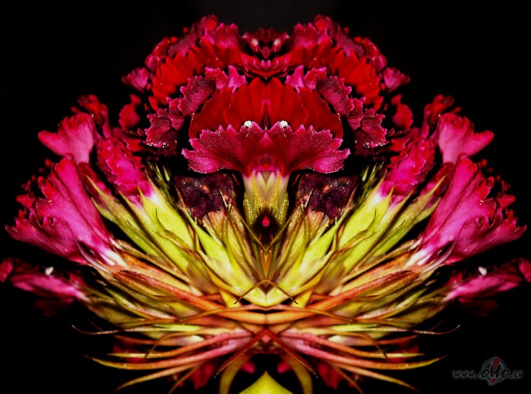 Diena, kas ar m�lest�bu pilna l�dz mal�m