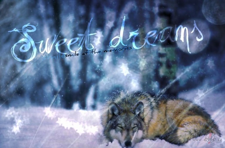 NakCputniem_...** GAVIN_ROSSDALE **