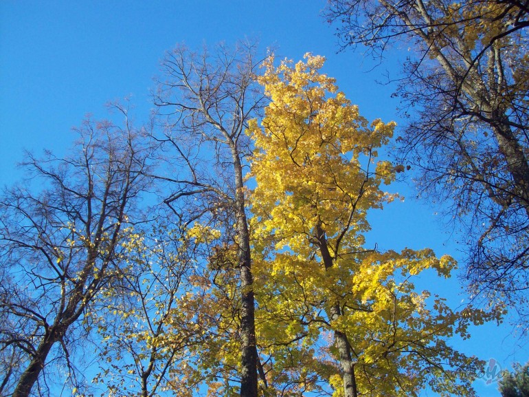 Rudens.Neko laikam nepadart.Pavarda dmi mkoos stdz,Atkal nes ...