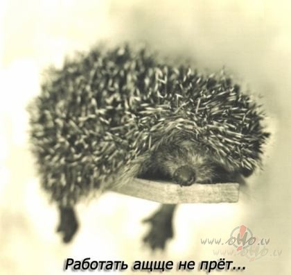 Labrt!