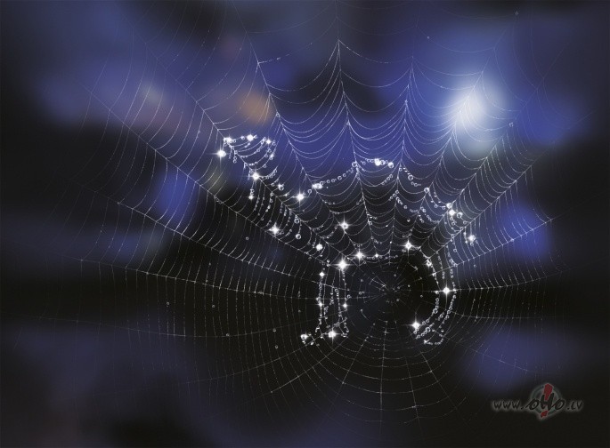 ..........viens pats m�j�s!