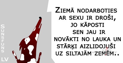 Ziema naak ar lielu bliikshkji