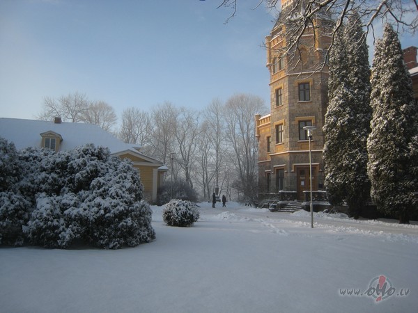 Spalgam aukstumam
