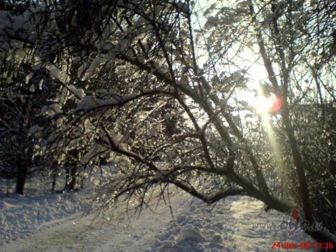 Labrti!:))
