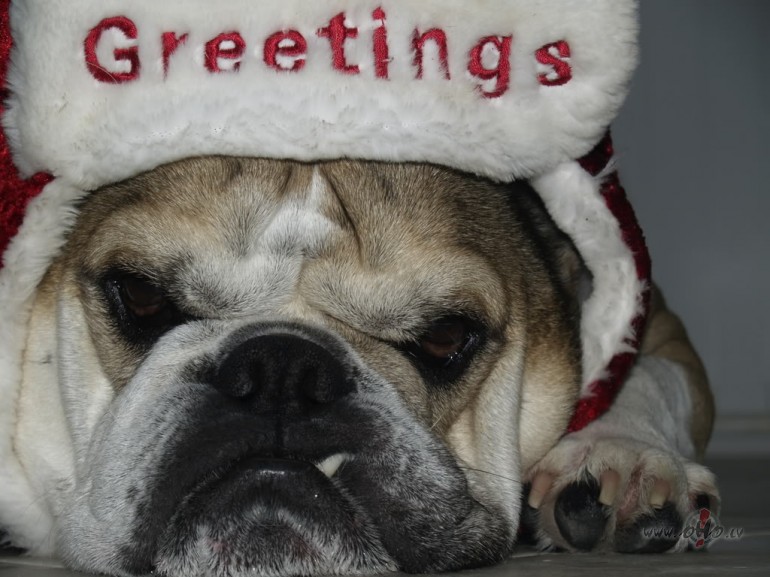 X-mas_...** R_U_M_B_A_R__G_I_R_L_S **