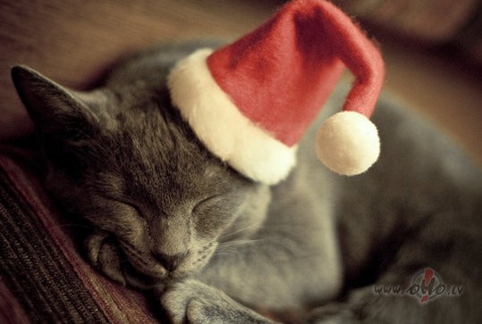 X-mas_...** P_A_U_L__M_A_R_T_I_N **