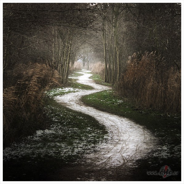 Path...
