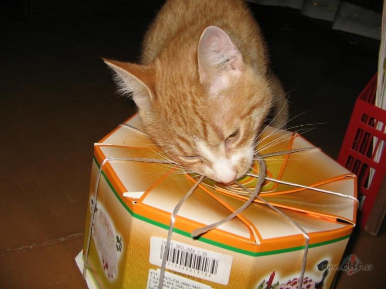 HEI ... HEI ... ** n_e_t_a_a_k_a_a_v_i_s_i ** ... DAUDZ_LAIMES_VRDENT__!!!