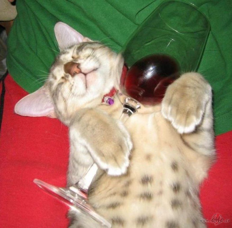 :0) pietiek plos�ties!