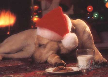 :))sv�tki turpin�s...