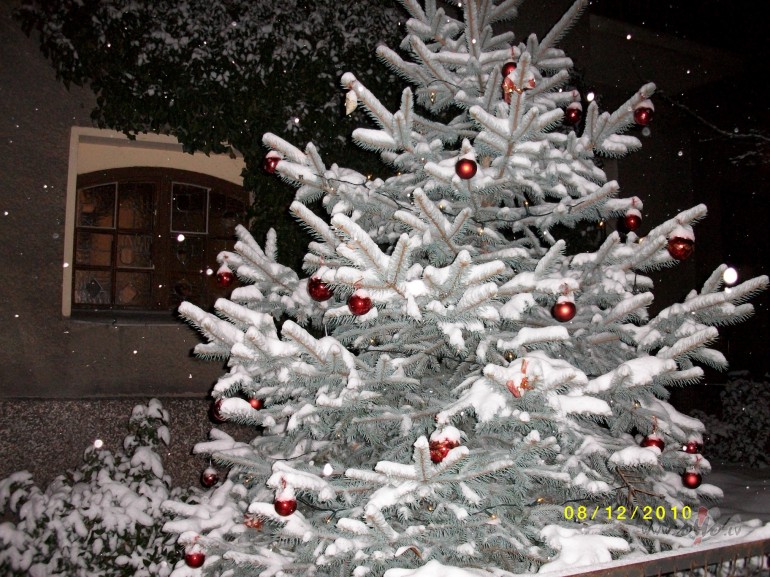 Priecgus  Ziemassvtkus!
