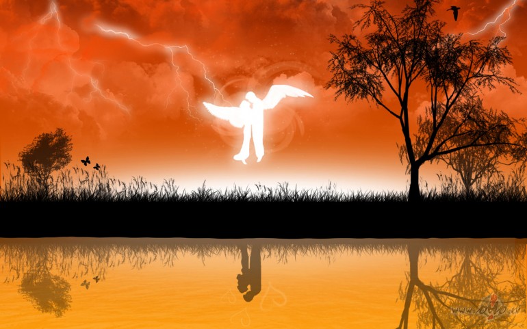 AR_LABU_ ** A_L_B_A__W_I_N_G_S **