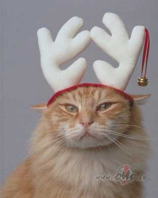 30.decembris