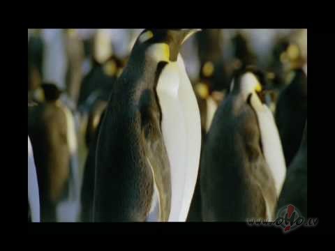 Vai izskatos peec Juulija Ceezara? :)