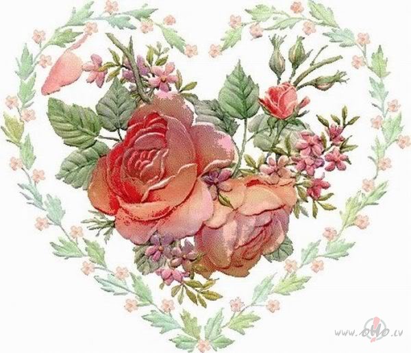 Skaidr�bas e�gelis