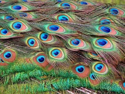 Saglab��anas e�gelis