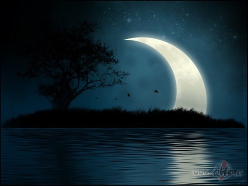 AR_LABU_  ** M_A_N_D_Y__M_O_O_R_E **