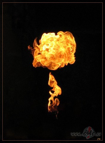 C�lo�u un seku pasaul�