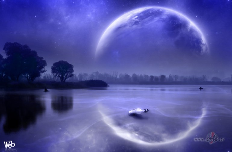 AR_LABU_ ** B_R_A_N_D_O_N__F_L_O_W_E_R_S **
