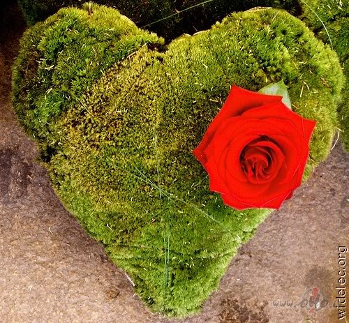 V�rt�gi domu graudi