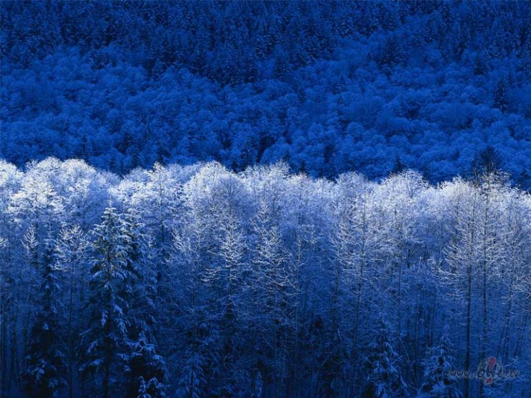 Sp�t�gais sniegs.