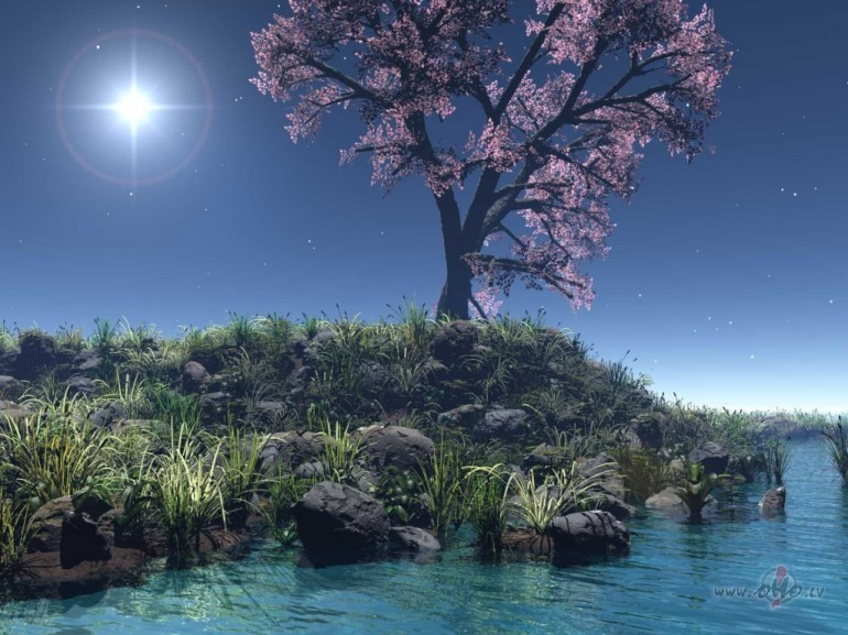 AR_LABU_ ** PETER_GABRIEL **