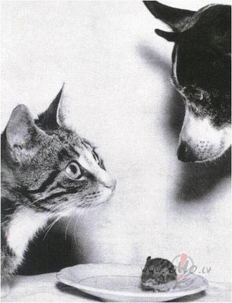 Interesanti, bet apsurdi... :)