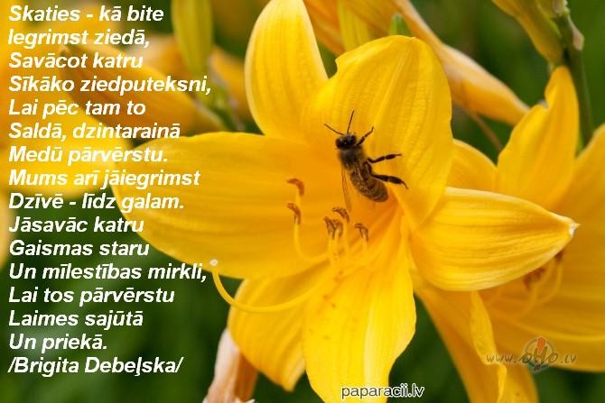Smaidam ir jbt visu laiku uz lpim,pat krzes laikos!