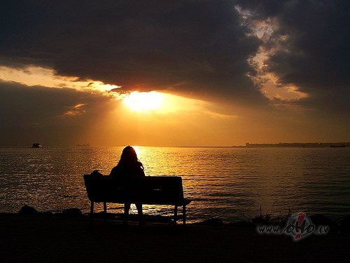 AR_LABU_ ** V__O__X__I__S **