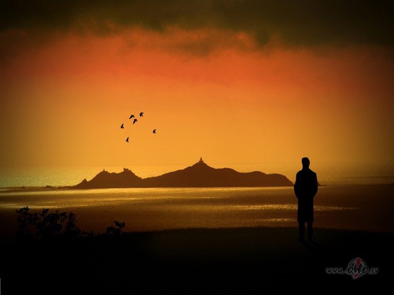 AR_LABU_ ** MARILLION **